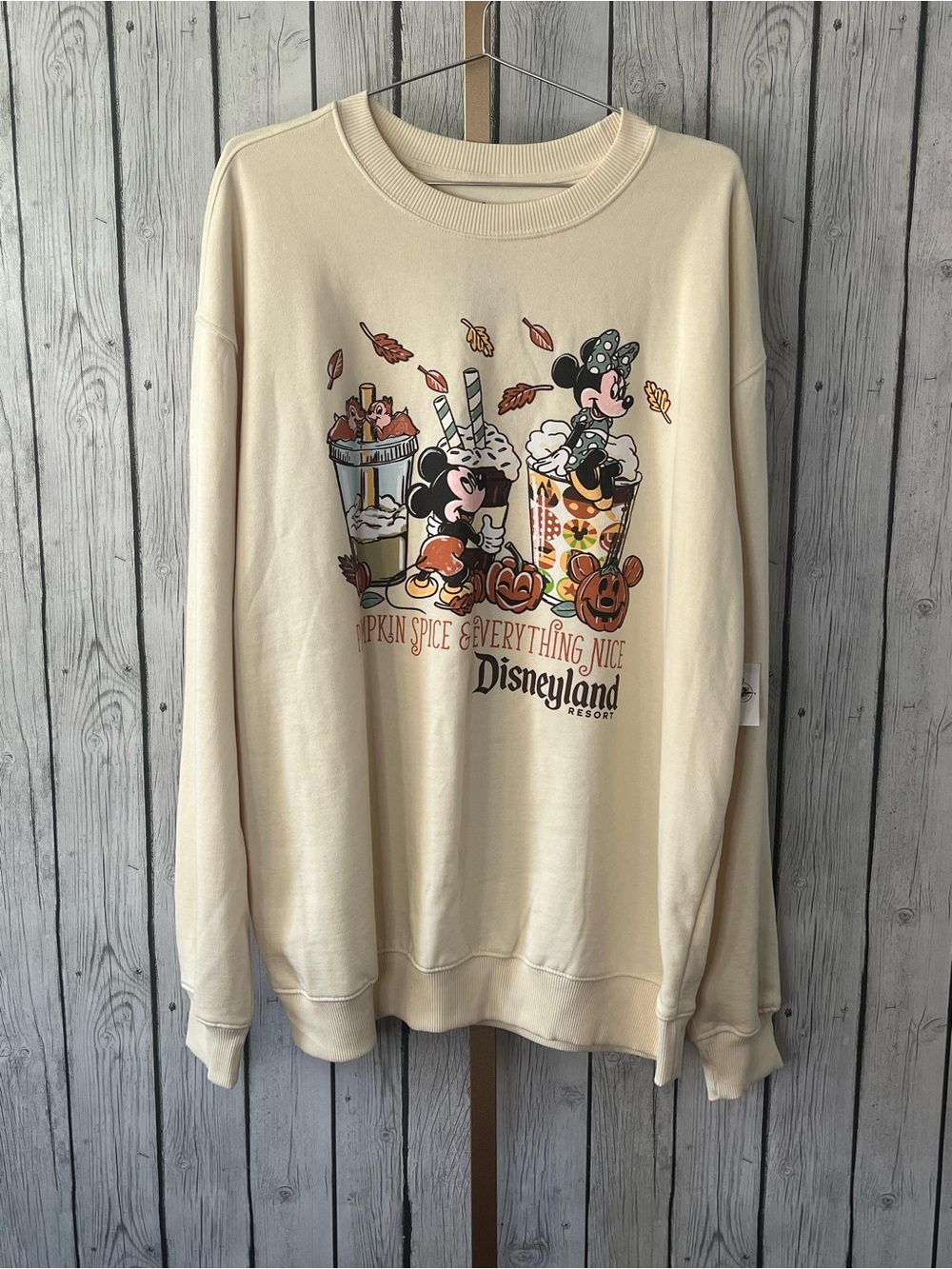 NWT Disneyland Resort Pumpkin Spice Everything Nice Fall Sweatshirt XL